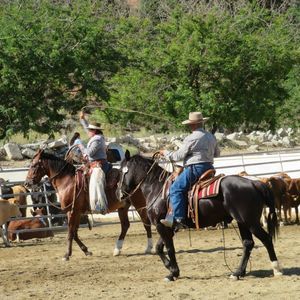 Meet your Posher, Elena